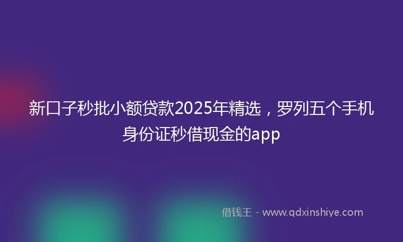 新口子秒批小额贷款2025年精选,罗列五个手机身份证秒借现金的app