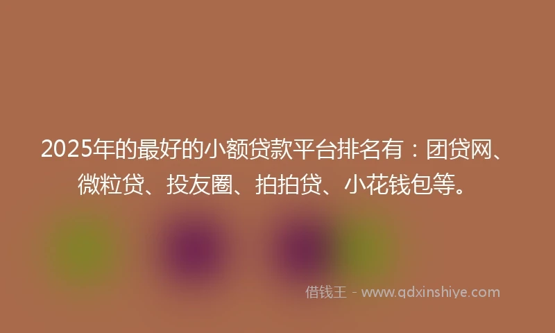 2025年的最好的小额贷款平台排名有：团贷网、微粒贷、投友圈、拍拍贷、小花钱包等。