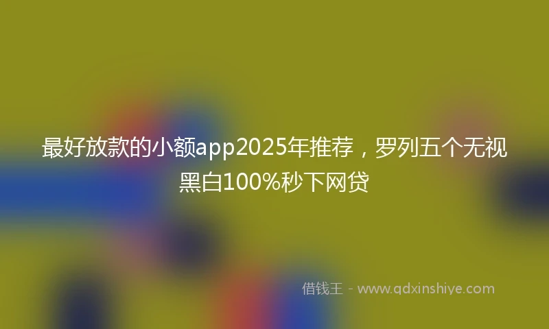 最好放款的小额app2025年推荐，罗列五个无视黑白100%秒下网贷