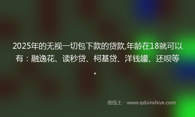 2025年的无视一切包下款的贷款,年龄在18就可以有：融逸花、读秒贷、柯基贷、洋钱罐、还呗等。