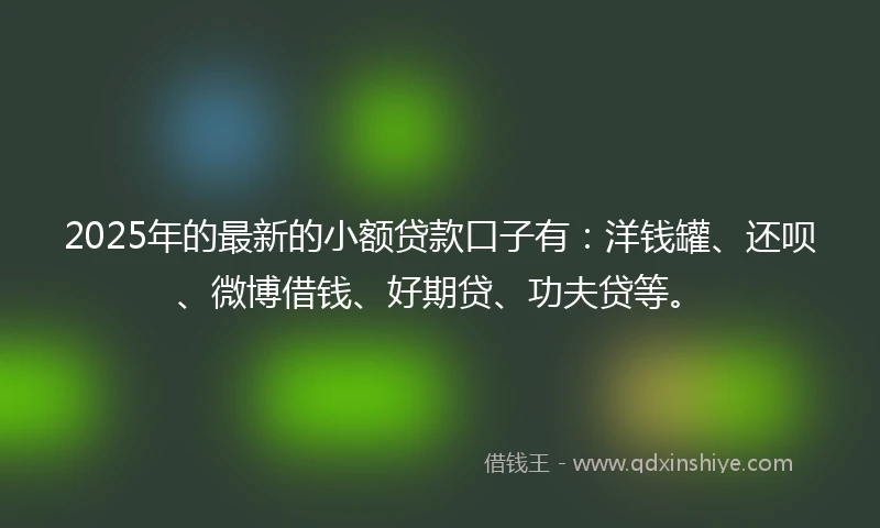 2025年的最新的小额贷款口子有：洋钱罐、还呗、微博借钱、好期贷、功夫贷等。