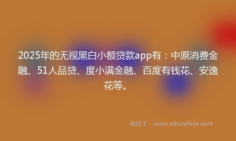 2025年的无视黑白小额贷款app有：中原消费金融、51人品贷、度小满金融、百度有钱花、安逸花等。