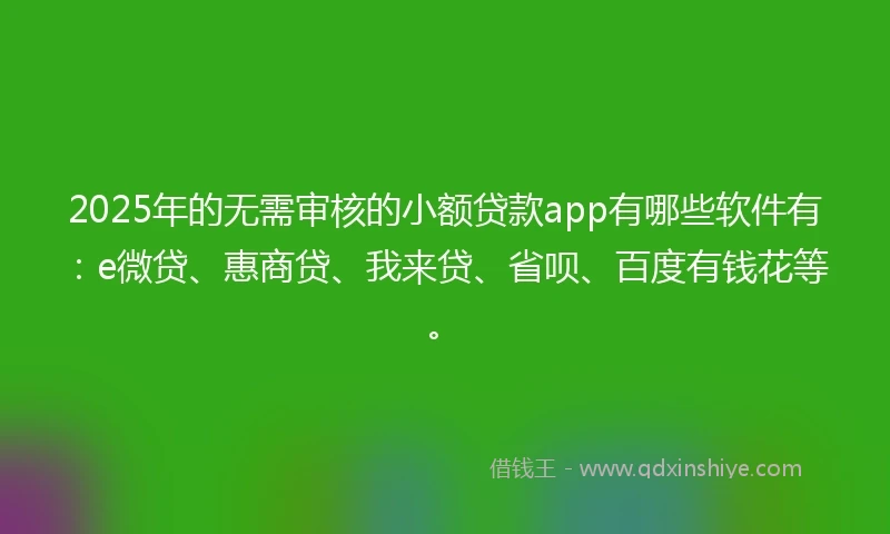 2025年的无需审核的小额贷款app有哪些软件有：e微贷、惠商贷、我来贷、省呗、百度有钱花等。