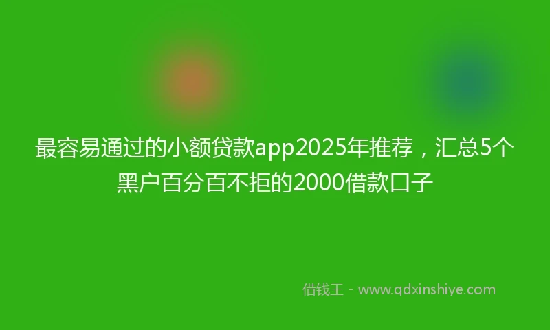 最容易通过的小额贷款app2025年推荐，汇总5个黑户百分百不拒的2000借款口子