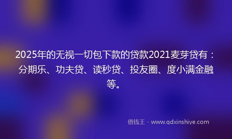 2025年的无视一切包下款的贷款2021麦芽贷有：分期乐、功夫贷、读秒贷、投友圈、度小满金融等。