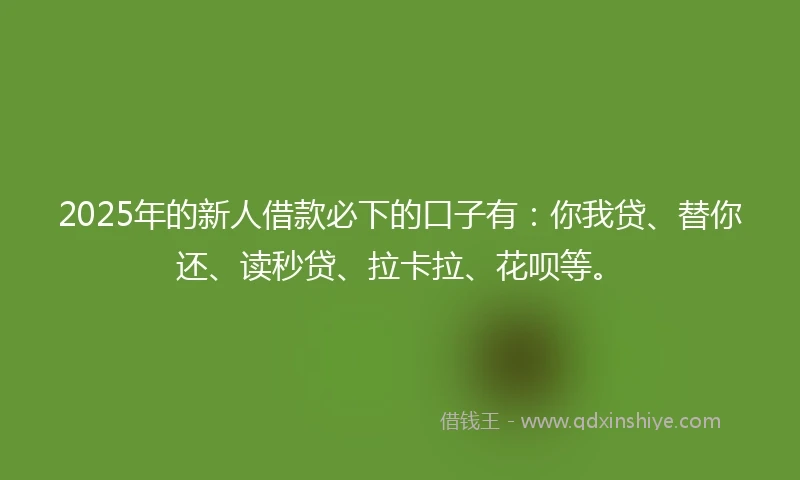 2025年的新人借款必下的口子有：你我贷、替你还、读秒贷、拉卡拉、花呗等。