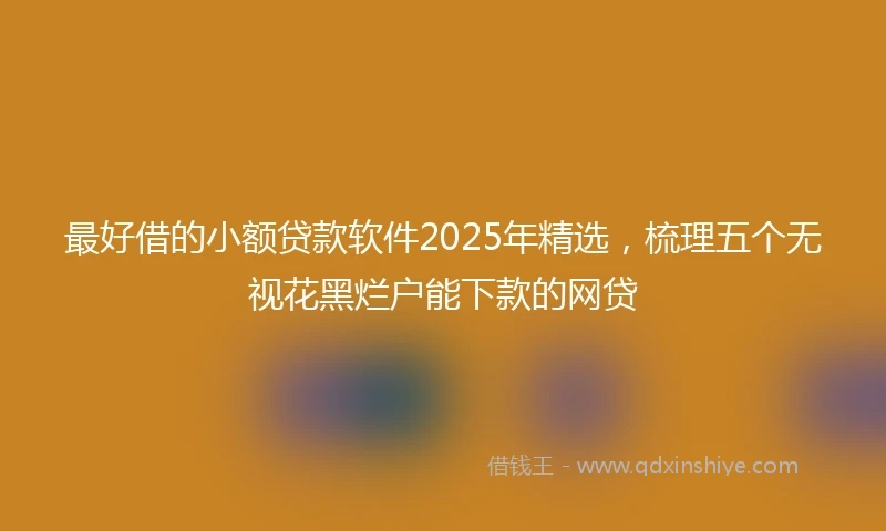 最好借的小额贷款软件2025年精选，梳理五个无视花黑烂户能下款的网贷