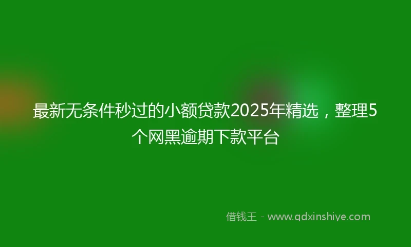 最新无条件秒过的小额贷款2025年精选，整理5个网黑逾期下款平台