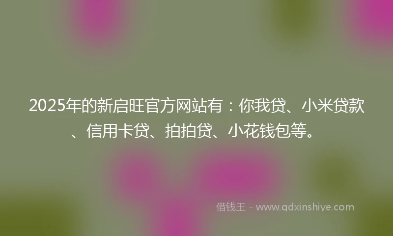 2025年的新启旺官方网站有：你我贷、小米贷款、信用卡贷、拍拍贷、小花钱包等。