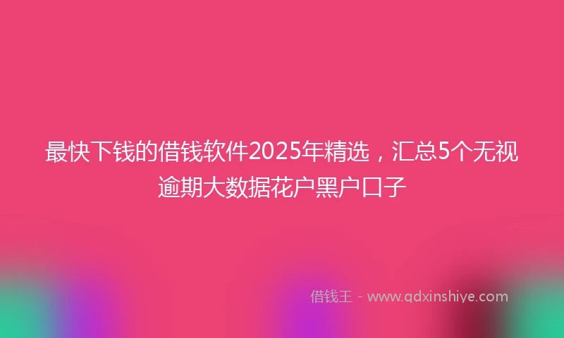最快下钱的借钱软件2025年精选，汇总5个无视逾期大数据花户黑户口子