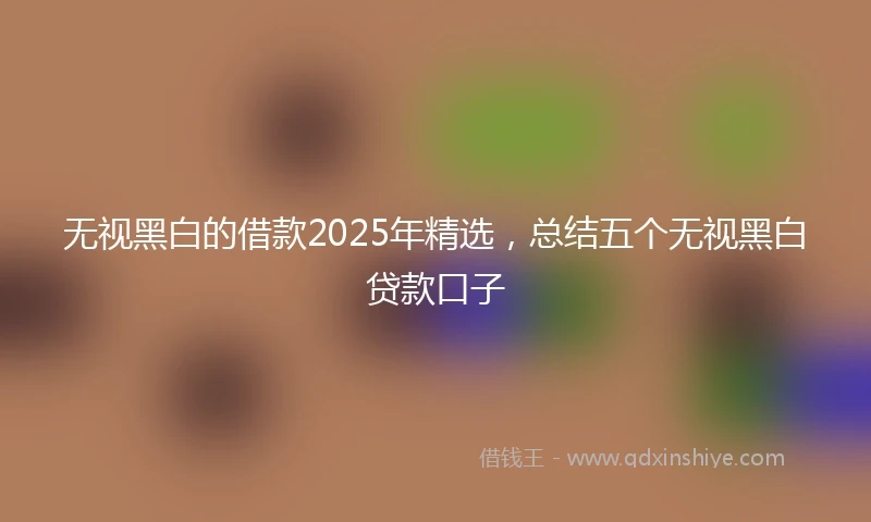 无视黑白的借款2025年精选，总结五个无视黑白贷款口子