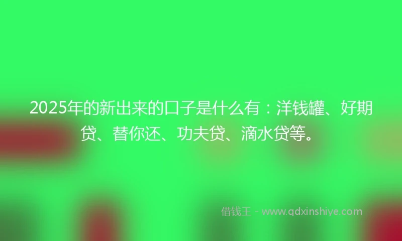 2025年的新出来的口子是什么有：洋钱罐、好期贷、替你还、功夫贷、滴水贷等。