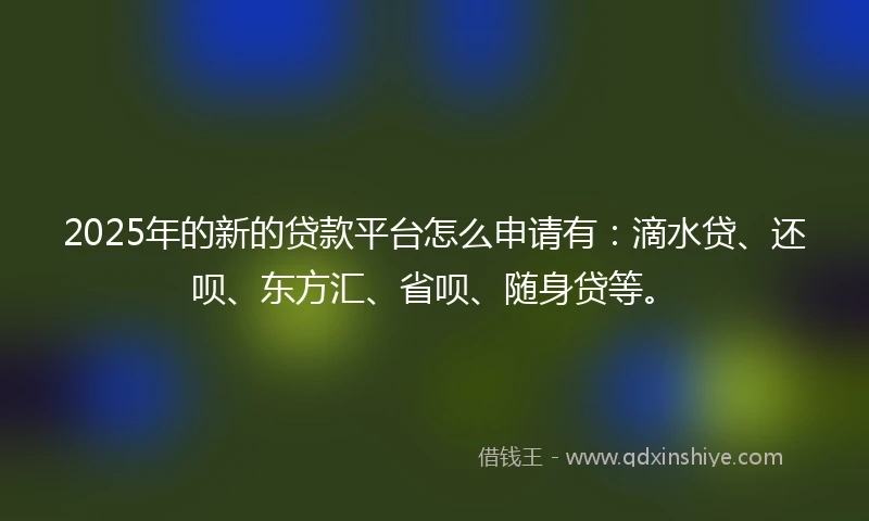 2025年的新的贷款平台怎么申请有：滴水贷、还呗、东方汇、省呗、随身贷等。