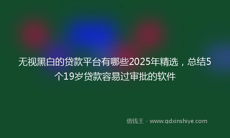 无视黑白的贷款平台有哪些2025年精选，总结5个19岁贷款容易过审批的软件