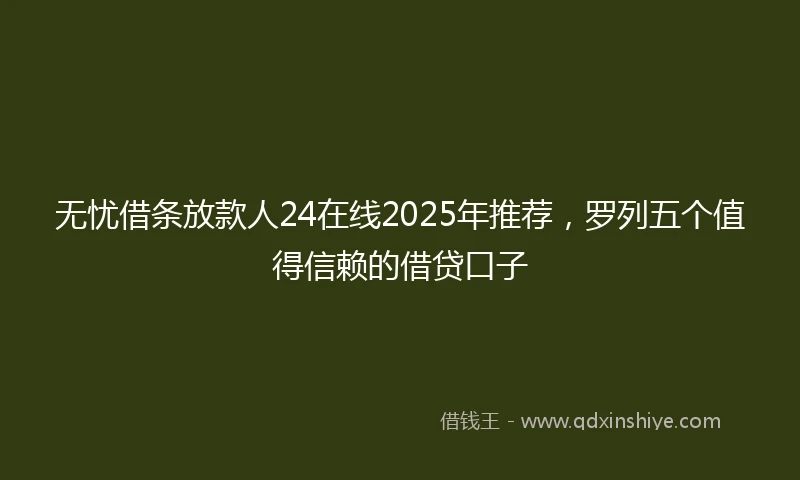 无忧借条放款人24在线2025年推荐，罗列五个值得信赖的借贷口子