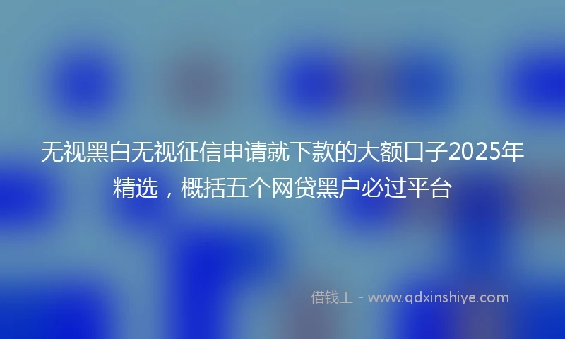无视黑白无视征信申请就下款的大额口子2025年精选,概括五个网贷黑户必过平台