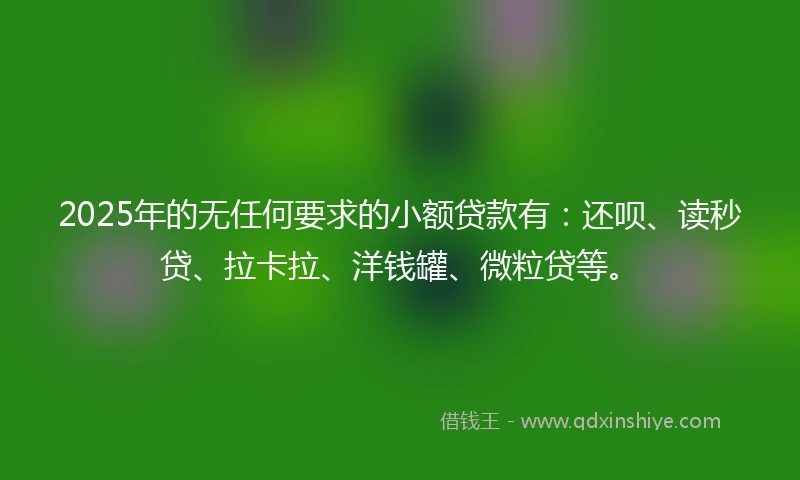 2025年的无任何要求的小额贷款有：还呗、读秒贷、拉卡拉、洋钱罐、微粒贷等。