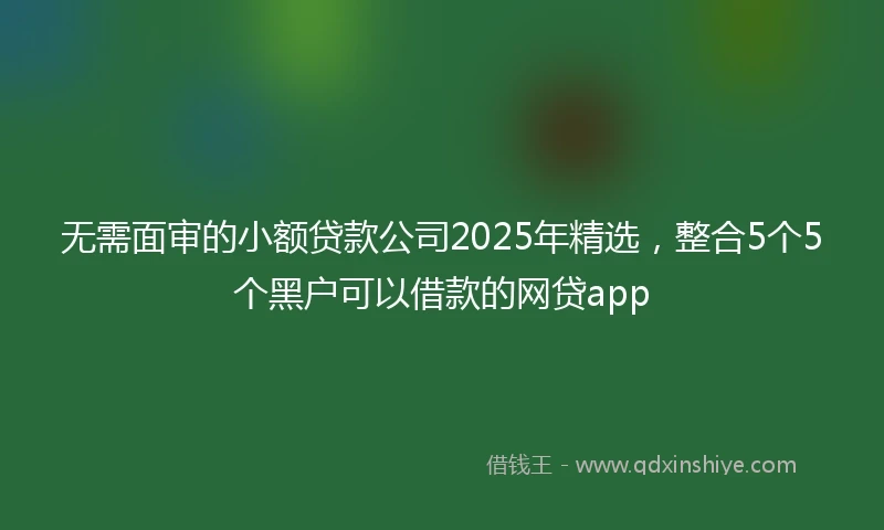 无需面审的小额贷款公司2025年精选，整合5个5个黑户可以借款的网贷app