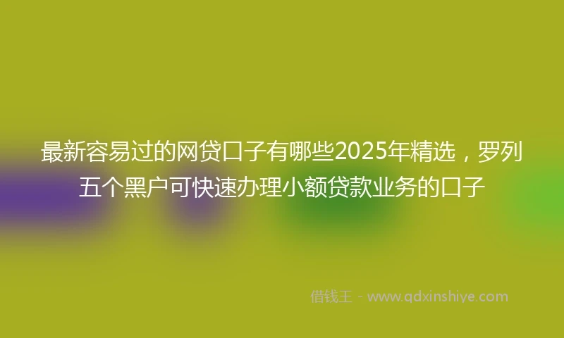 最新容易过的网贷口子有哪些2025年精选，罗列五个黑户可快速办理小额贷款业务的口子