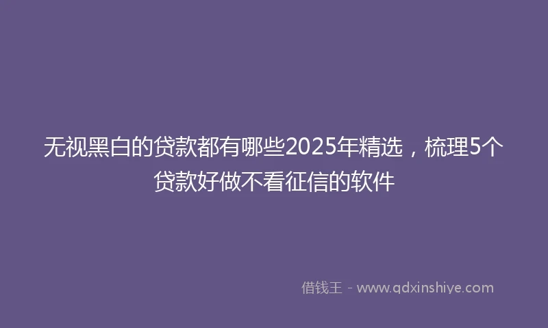 无视黑白的贷款都有哪些2025年精选，梳理5个贷款好做不看征信的软件