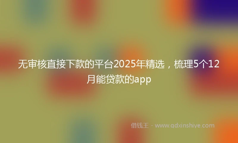 无审核直接下款的平台2025年精选，梳理5个12月能贷款的app