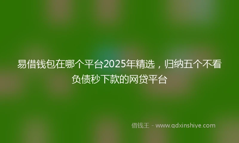 易借钱包在哪个平台2025年精选，归纳五个不看负债秒下款的网贷平台
