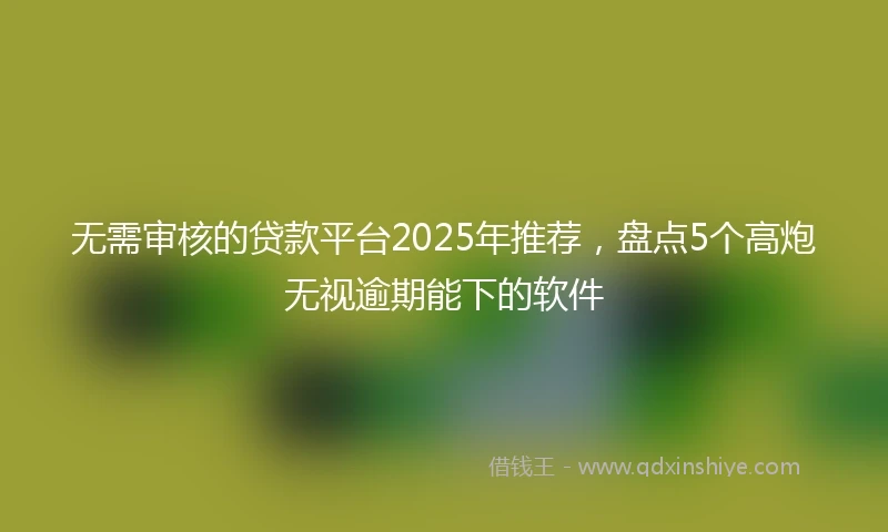 无需审核的贷款平台2025年推荐，盘点5个高炮无视逾期能下的软件