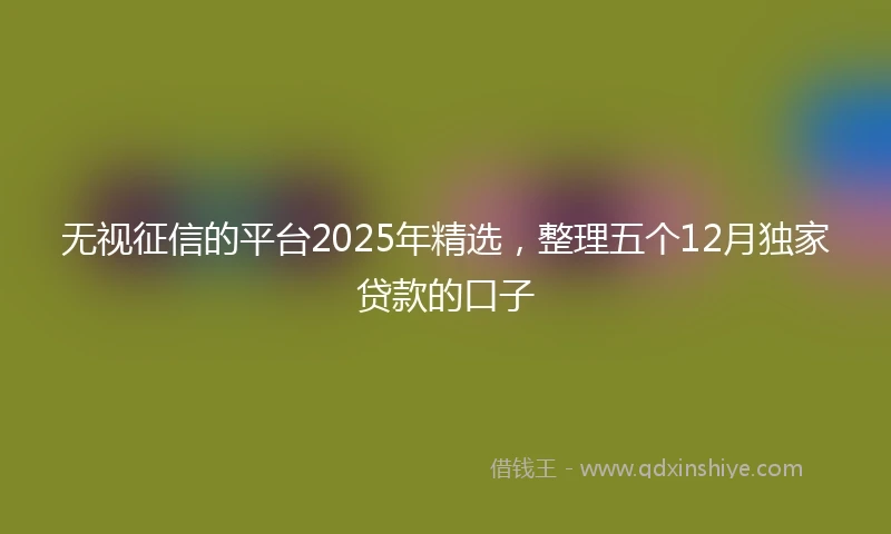 无视征信的平台2025年精选，整理五个12月独家贷款的口子