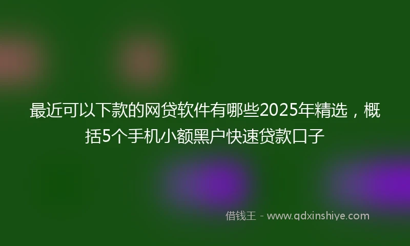 最近可以下款的网贷软件有哪些2025年精选，概括5个手机小额黑户快速贷款口子