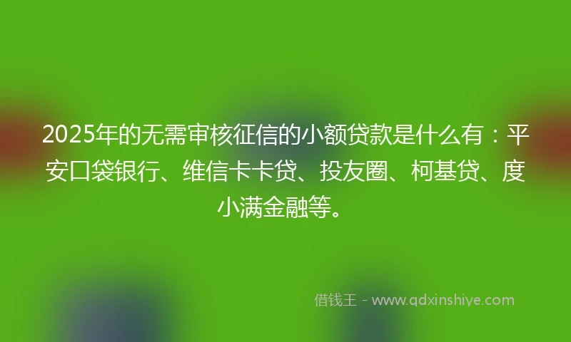2025年的无需审核征信的小额贷款是什么有：平安口袋银行、维信卡卡贷、投友圈、柯基贷、度小满金融等。