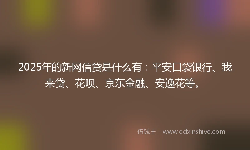2025年的新网信贷是什么有：平安口袋银行、我来贷、花呗、京东金融、安逸花等。