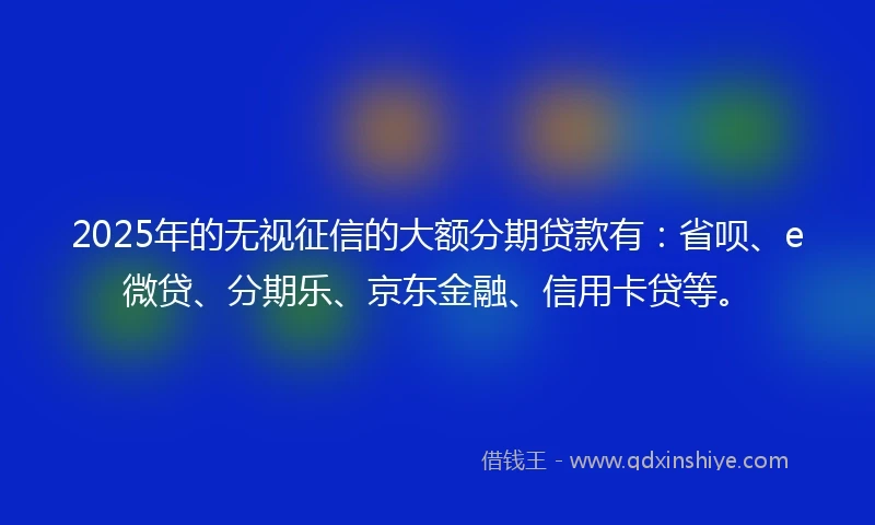 2025年的无视征信的大额分期贷款有：省呗、e微贷、分期乐、京东金融、信用卡贷等。