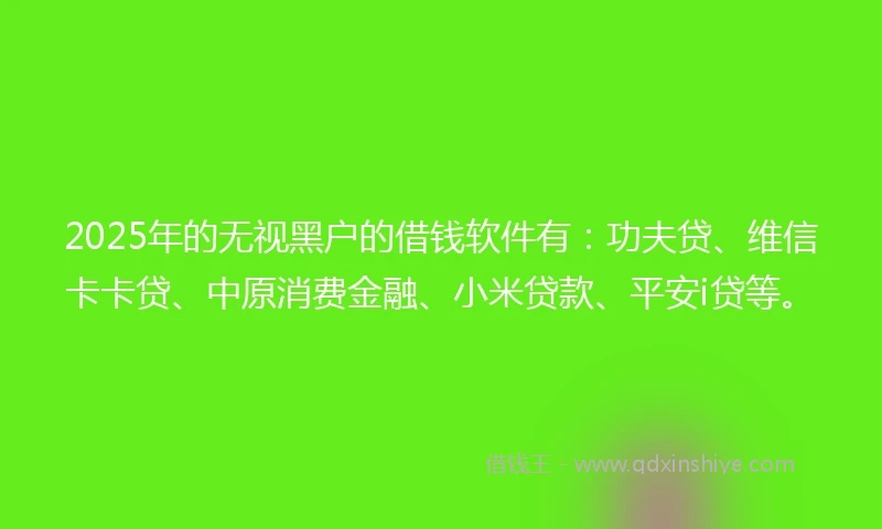 2025年的无视黑户的借钱软件有：功夫贷、维信卡卡贷、中原消费金融、小米贷款、平安i贷等。