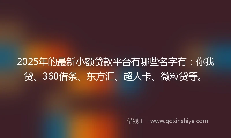 2025年的最新小额贷款平台有哪些名字有：你我贷、360借条、东方汇、超人卡、微粒贷等。