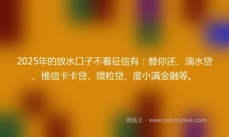 2025年的放水口子不看征信有：替你还、滴水贷、维信卡卡贷、微粒贷、度小满金融等。