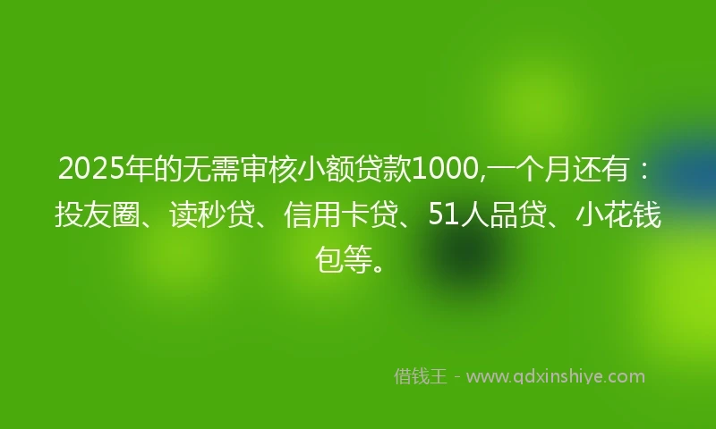 2025年的无需审核小额贷款1000,一个月还有：投友圈、读秒贷、信用卡贷、51人品贷、小花钱包等。
