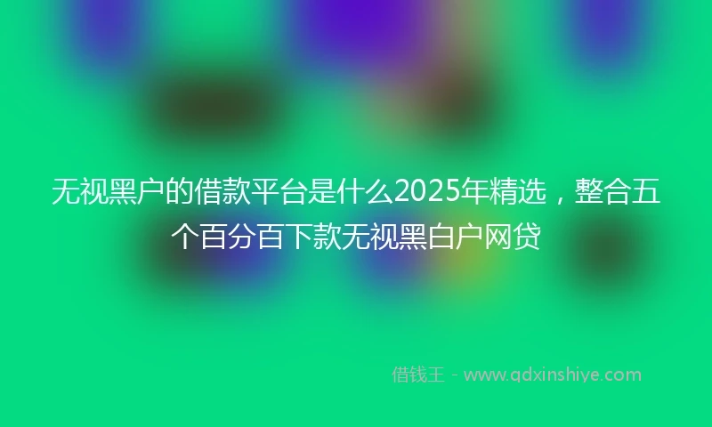 无视黑户的借款平台是什么2025年精选，整合五个百分百下款无视黑白户网贷