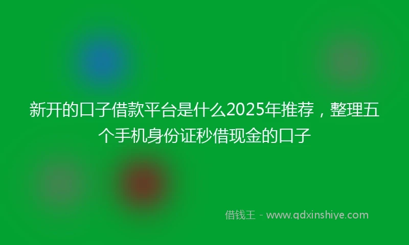 新开的口子借款平台是什么2025年推荐，整理五个手机身份证秒借现金的口子