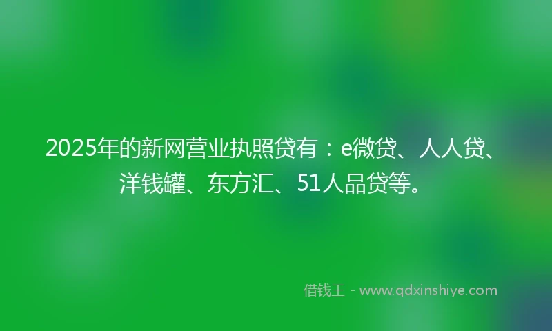 2025年的新网营业执照贷有：e微贷、人人贷、洋钱罐、东方汇、51人品贷等。