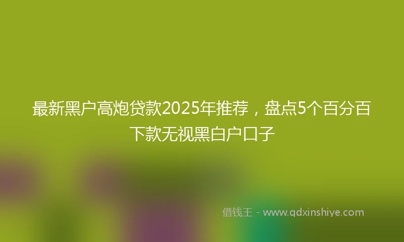 最新黑户高炮贷款2025年推荐，盘点5个百分百下款无视黑白户口子
