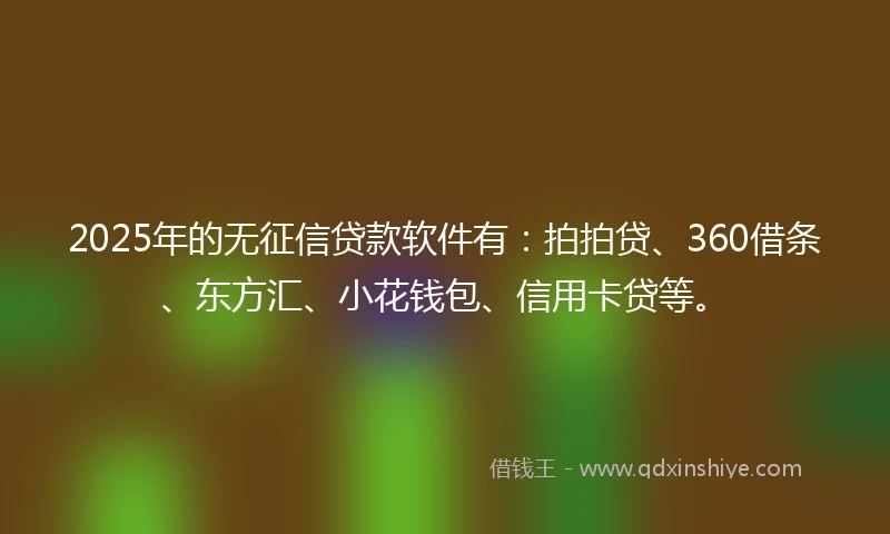 2025年的无征信贷款软件有：拍拍贷、360借条、东方汇、小花钱包、信用卡贷等。