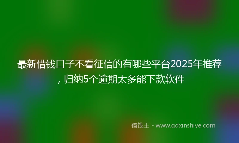 最新借钱口子不看征信的有哪些平台2025年推荐，归纳5个逾期太多能下款软件