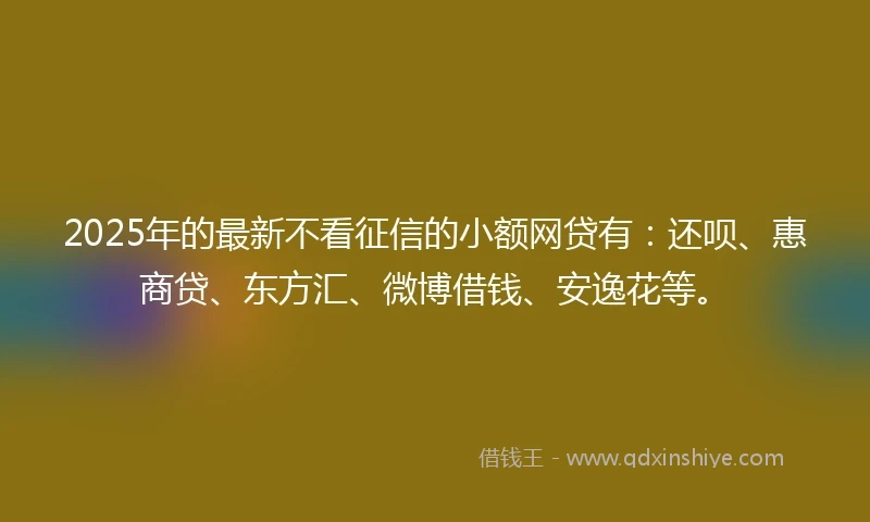 2025年的最新不看征信的小额网贷有：还呗、惠商贷、东方汇、微博借钱、安逸花等。