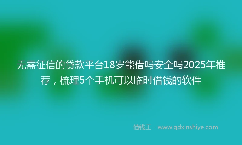 无需征信的贷款平台18岁能借吗安全吗2025年推荐，梳理5个手机可以临时借钱的软件