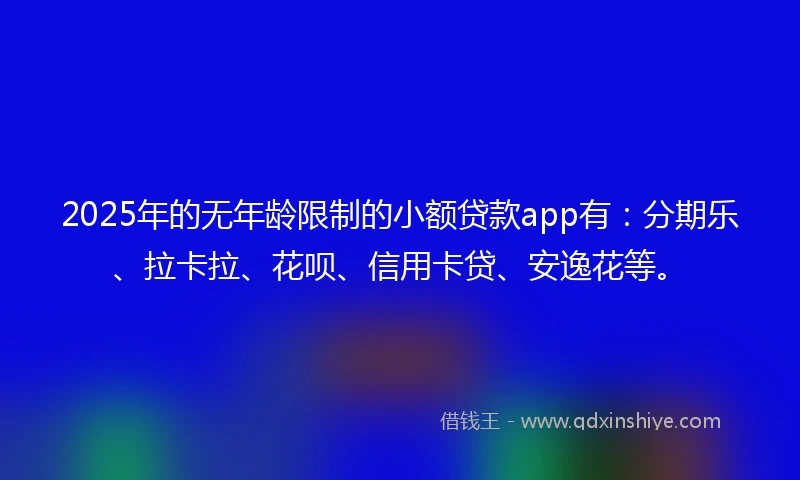 2025年的无年龄限制的小额贷款app有：分期乐、拉卡拉、花呗、信用卡贷、安逸花等。