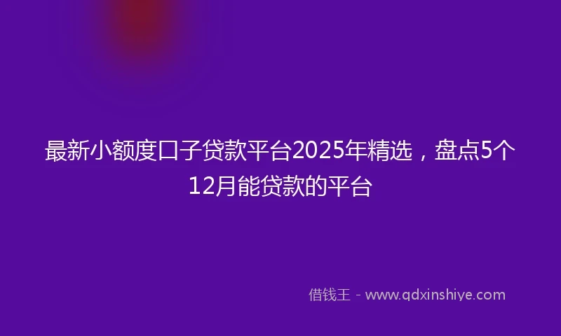 最新小额度口子贷款平台2025年精选，盘点5个12月能贷款的平台