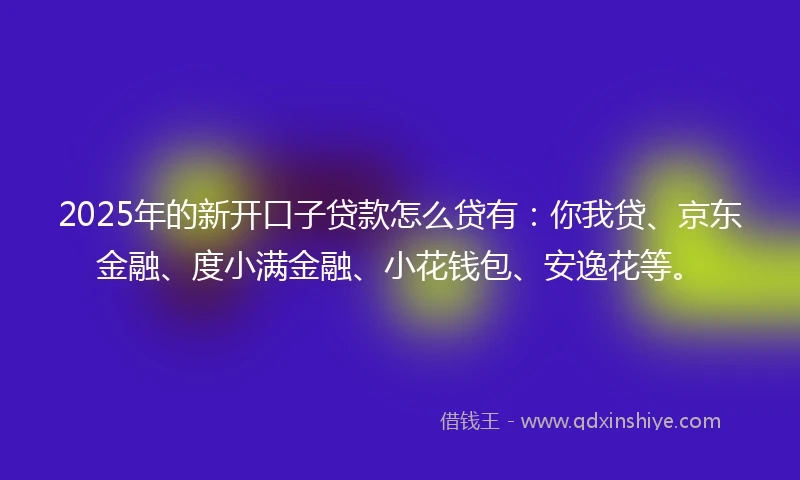 2025年的新开口子贷款怎么贷有:你我贷、京东金融、度小满金融、小花钱包、安逸花等。
