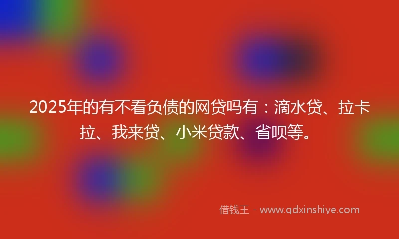 2025年的有不看负债的网贷吗有：滴水贷、拉卡拉、我来贷、小米贷款、省呗等。