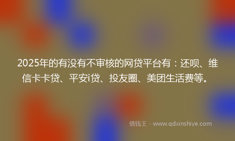 2025年的有没有不审核的网贷平台有：还呗、维信卡卡贷、平安i贷、投友圈、美团生活费等。
