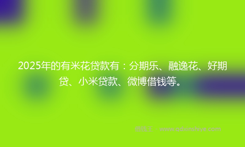 2025年的有米花贷款有：分期乐、融逸花、好期贷、小米贷款、微博借钱等。